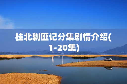 桂北剿匪记分集剧情介绍(1-20集) 桂北剿匪记分集剧情介绍(1-20集)