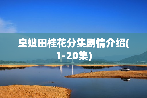 皇嫂田桂花分集剧情介绍(1-20集)