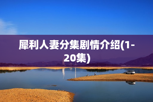 犀利人妻分集剧情介绍(1-20集)