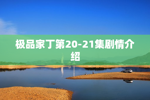 极品家丁第20-21集剧情介绍