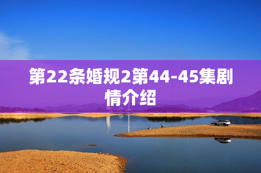 第22条婚规2第44-45集剧情介绍