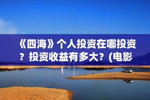 《四海》个人投资在哪投资？投资收益有多大？(电影《四海》)