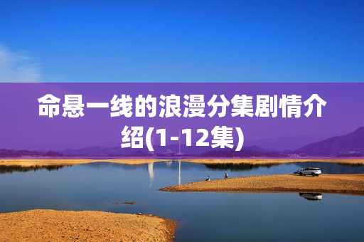 命悬一线的浪漫分集剧情介绍(1-12集)