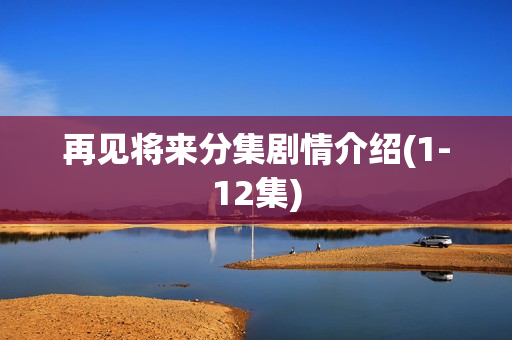 再见将来分集剧情介绍(1-12集)