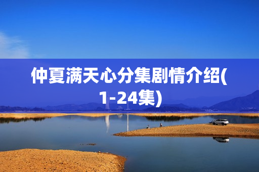 仲夏满天心分集剧情介绍(1-24集)