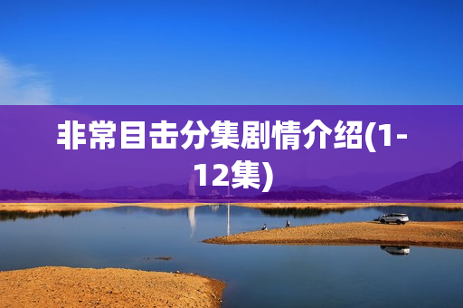 非常目击分集剧情介绍(1-12集)