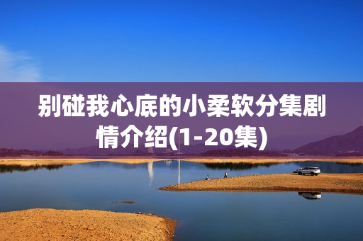 别碰我心底的小柔软分集剧情介绍(1-20集)