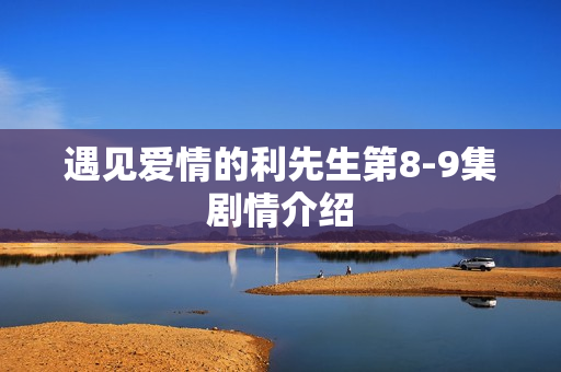 遇见爱情的利先生第8-9集剧情介绍