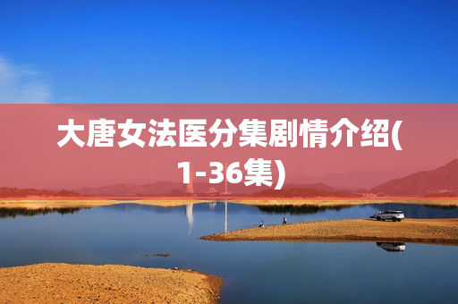 大唐女法医分集剧情介绍(1-36集)