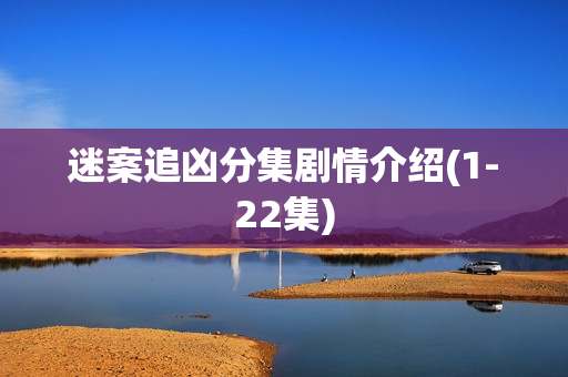 迷案追凶分集剧情介绍(1-22集)