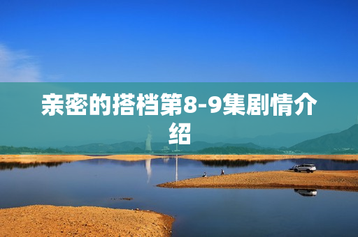 亲密的搭档第8-9集剧情介绍