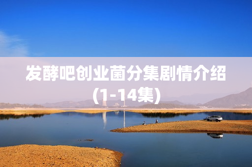 发酵吧创业菌分集剧情介绍(1-14集)