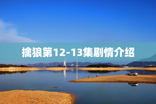 擒狼第12-13集剧情介绍