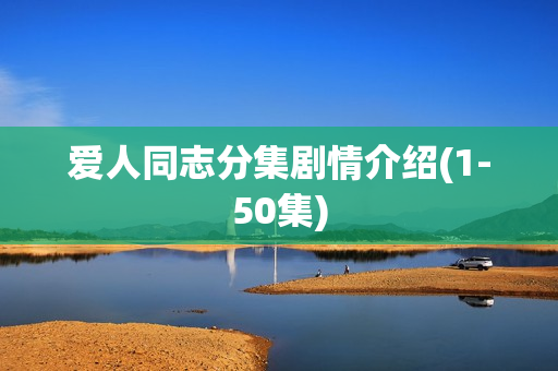 爱人同志分集剧情介绍(1-50集)