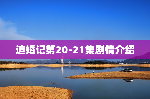 追婚记第20-21集剧情介绍 追婚记第20-21集剧情介绍