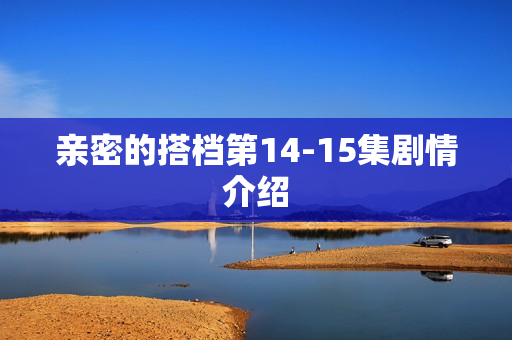 亲密的搭档第14-15集剧情介绍