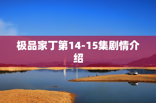极品家丁第14-15集剧情介绍