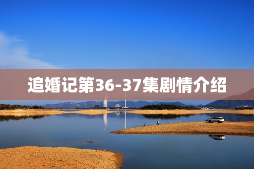 追婚记第36-37集剧情介绍