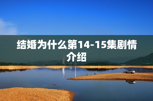 结婚为什么第14-15集剧情介绍