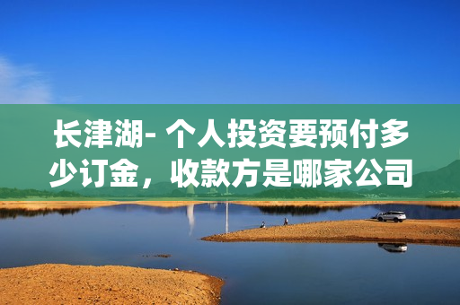 长津湖- 个人投资要预付多少订金，收款方是哪家公司？(长津湖详情)