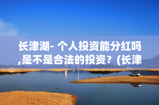 长津湖- 个人投资能分红吗,是不是合法的投资？(长津湖投了多少钱)