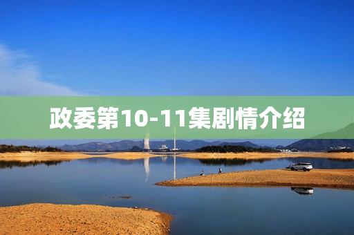政委第10-11集剧情介绍