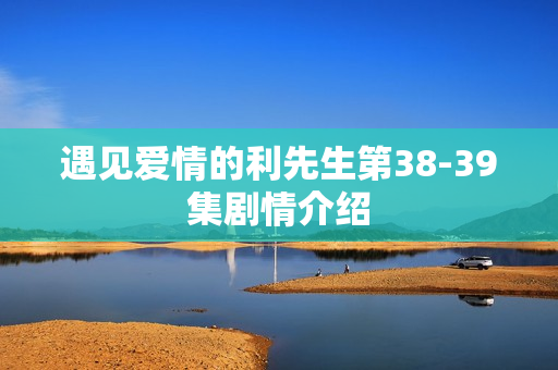 遇见爱情的利先生第38-39集剧情介绍