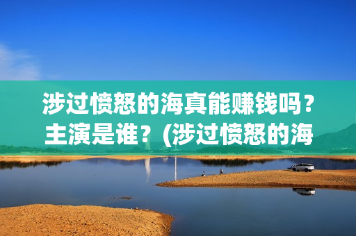 涉过愤怒的海真能赚钱吗？主演是谁？(涉过愤怒的海 海报)