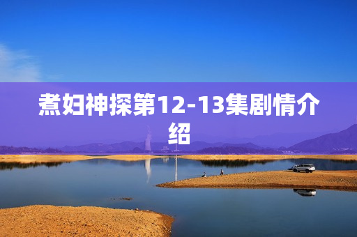 煮妇神探第12-13集剧情介绍