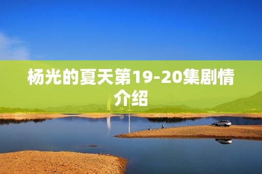 杨光的夏天第19-20集剧情介绍