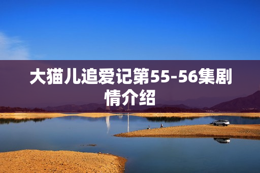 大猫儿追爱记第55-56集剧情介绍