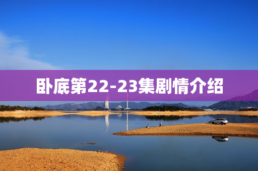 卧底第22-23集剧情介绍