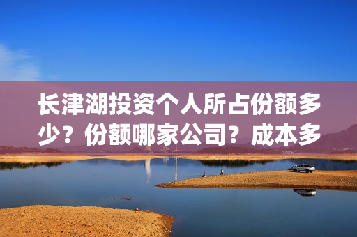 长津湖投资个人所占份额多少？份额哪家公司？成本多少？(长津湖的投资)