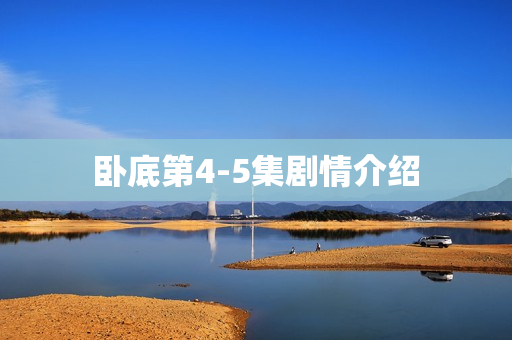 卧底第4-5集剧情介绍