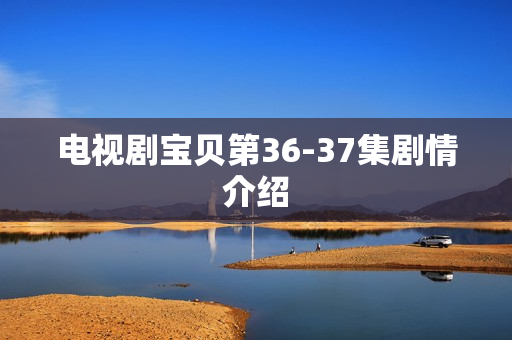 电视剧宝贝第36-37集剧情介绍