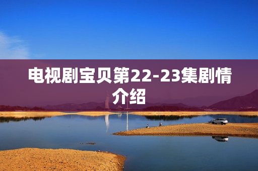 电视剧宝贝第22-23集剧情介绍