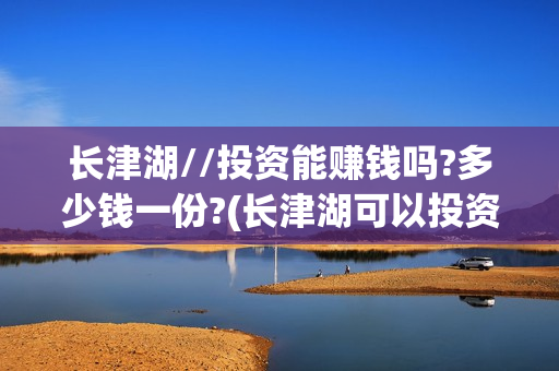 长津湖//投资能赚钱吗?多少钱一份?(长津湖可以投资吗)