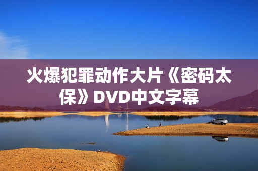 火爆犯罪动作大片《密码太保》DVD中文字幕