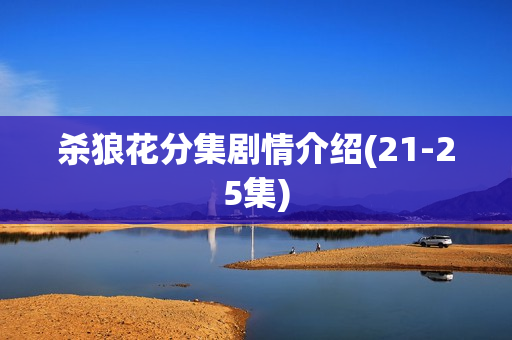 杀狼花分集剧情介绍(21-25集)