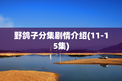 野鸽子分集剧情介绍(11-15集)