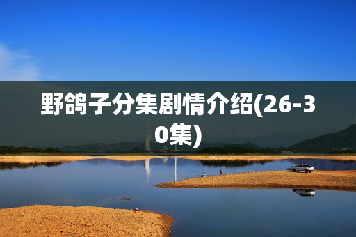 野鸽子分集剧情介绍(26-30集)