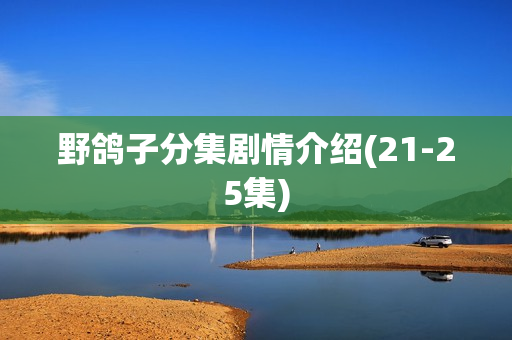 野鸽子分集剧情介绍(21-25集)