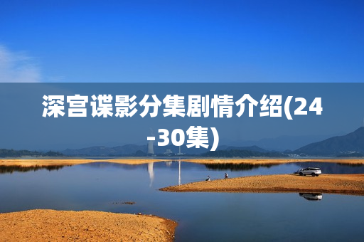 深宫谍影分集剧情介绍(24-30集)