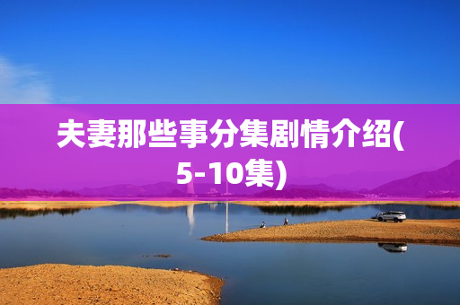 夫妻那些事分集剧情介绍(5-10集)