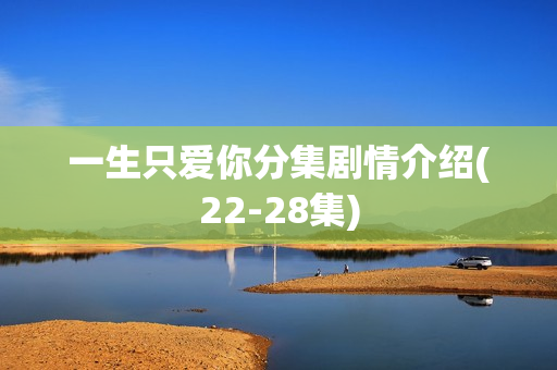 一生只爱你分集剧情介绍(22-28集)