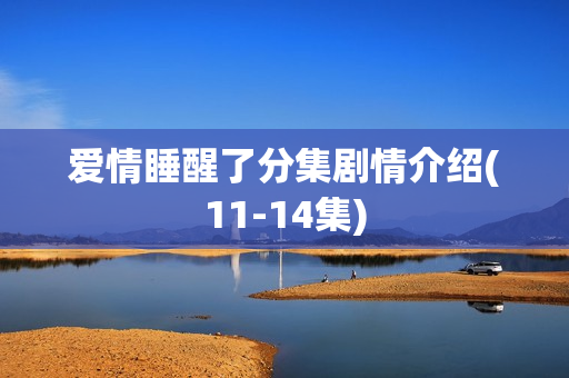 爱情睡醒了分集剧情介绍(11-14集)