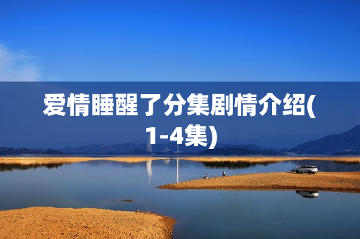 爱情睡醒了分集剧情介绍(1-4集)