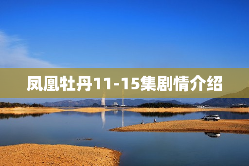 凤凰牡丹11-15集剧情介绍