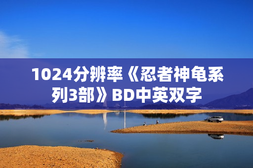 1024分辨率《忍者神龟系列3部》BD中英双字