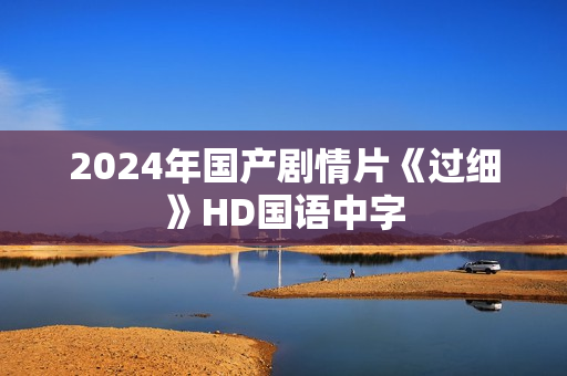 2024年国产剧情片《过细》HD国语中字